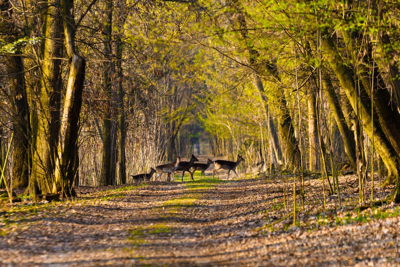 Country Hotel Castelbarco Vaprio d'Adda Eksteriør billede